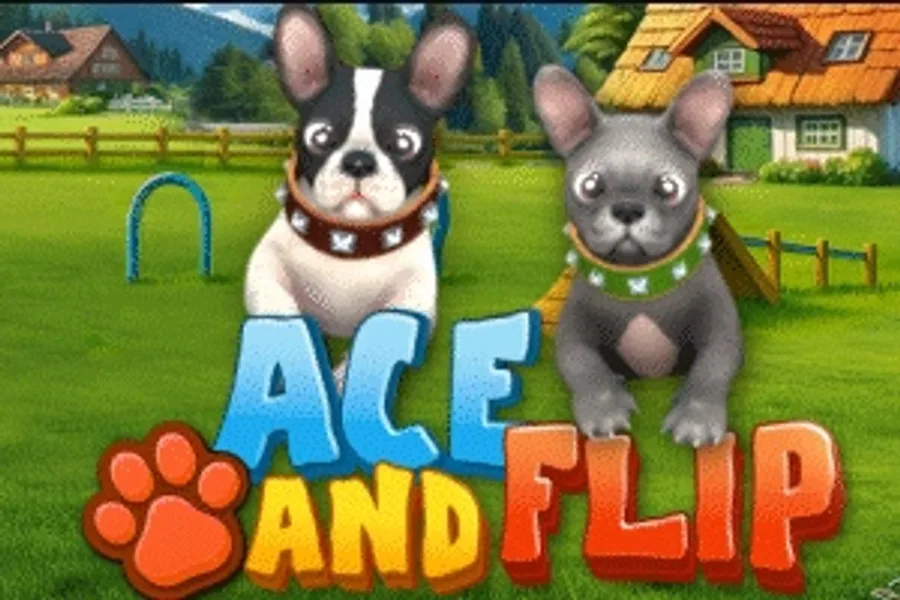 Ace and Flip slot artwork by WGS