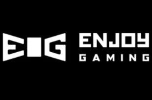Enjoy Gaming logo