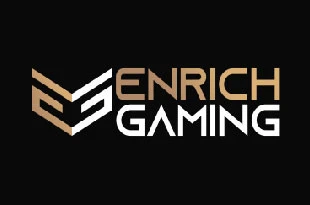 Enrich Gaming logo
