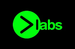 PlayLabs logo