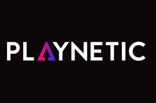 Playnetic logo