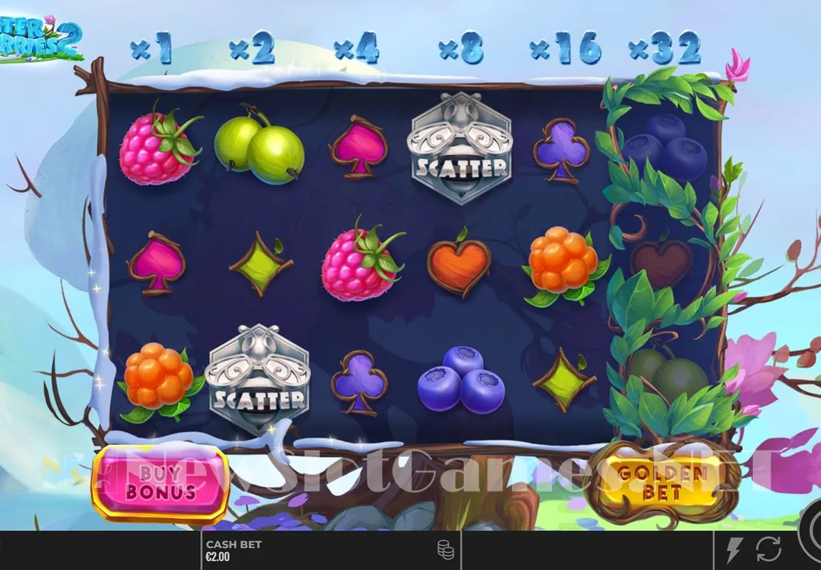 Winter-berries-1001