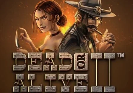 Dead or Alive 2 Slot Review